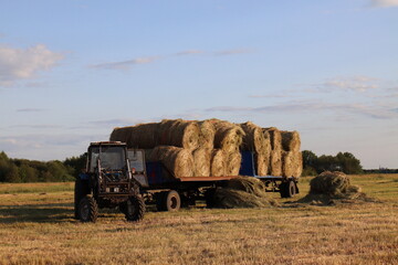 Tractor with trailers loaded with hay in rolls
