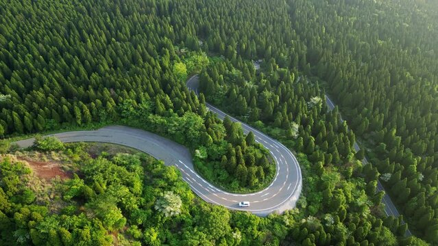 Mt Aso, Japan: Cinematic aerial drone footage of a car driving on the road leading to the Mt Aso volcano rim through an enchanting forest in Kyushu in Japan. Shot with a tilt down rotation motion. 