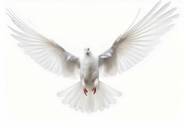 Pigeon isolate on white background , Created with Generative Ai Technology