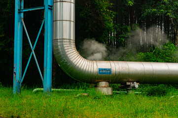 pipeline in the Forest