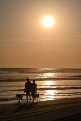 silueta de pareja al atardecer caminando en la playa acompañada de sus perros