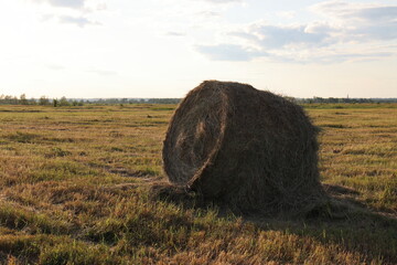 A roll of hay among a water meadow on a summer evening