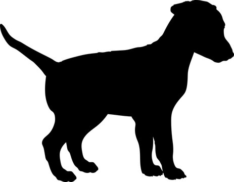 Whippet Dog puppies silhouette. Baby dog silhouette. Puppy