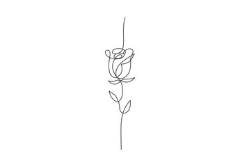 Continuous one line drawing of rose flower vector illustration. Premium vector. - obrazy, fototapety, plakaty