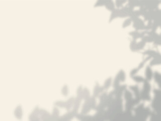 木の葉の影が壁に映るシンプル背景