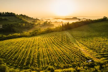 Fotobehang Aerial view of famous medieval San Gimignano hill. Province of Siena, Tuscany, Italy.  Amazing landscape of vineyards in Toscany,Italy © alexanderuhrin