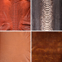 Cowhide, snake, crocodile, ostrich, skin, luxury clothing accessories in various colors suitable...