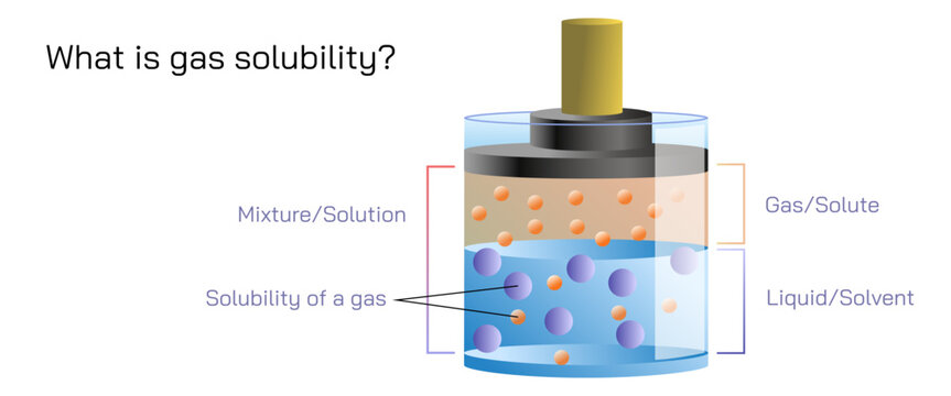 gas solubility can be defined as the ability of gas to dissolve in a solvent (liquid) to form a solution at a specific temperature. Vector illustration. general physics study material for students.