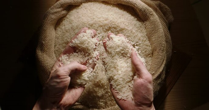 Farmer controls the quality of the rice grains in the bag. Hand examines the seeds, slow motion. rural economy export value chain grain storage entrepreneurship food preservation grain processing