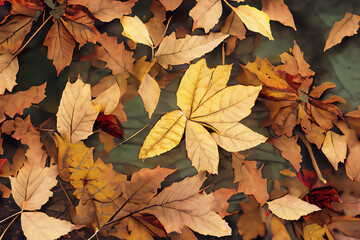 Yellow leaves fall from trees, close-up. Background lining for text