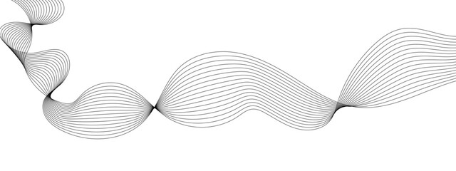 Fototapeta premium Abstract wavy white and grey curved lines on transparent background. Frequency sound wave lines and technology background, Design for brochure, flyer, banner, template, business wave lines background.