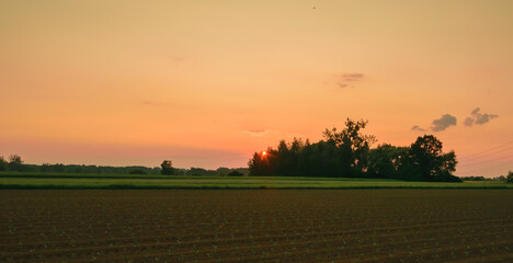 Piękny pomarańczowy zachód słońca na wsi, widoczny horyzont i płaski zielony teren  - obrazy, fototapety, plakaty