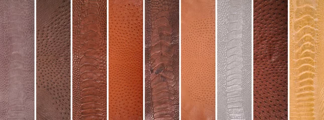 Deurstickers Leather tissues taken from various parts of the ostrich body, ostrich skin is used in textiles © serdarerenlere