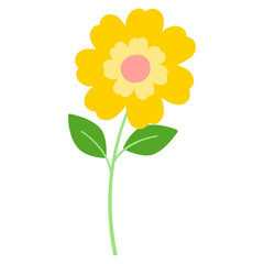 Spring Flower Illustration