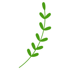 Spring Flower Illustration