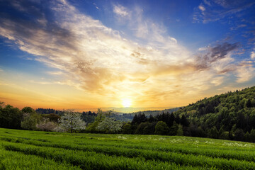 A meadow and a forest shelter hills against the backdrop of a sunset and a cloudy sky