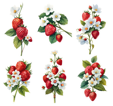 Watercolour set of berries. Generative Ai