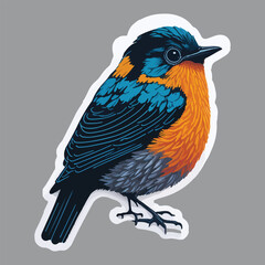 Colorful awesome bird stickers