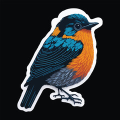 Colorful awesome bird stickers