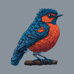 Colorful awesome bird stickers
