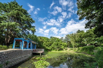 Outdoor city garden landscape street view