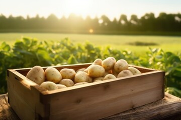 Wooden box full of potatoes in a field. Generative AI