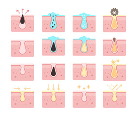 vector collection of skin, pores, skincare illustration icons