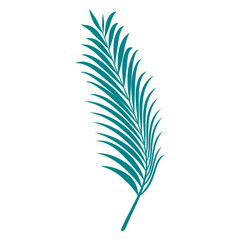 Obraz premium Palm Leaf Illustration