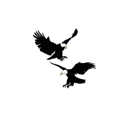 Eagle in the sky. Eagle in the sky silhouette. Black and white eagle illustration.