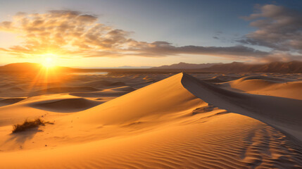 Fototapeta na wymiar landscape of sand dunes