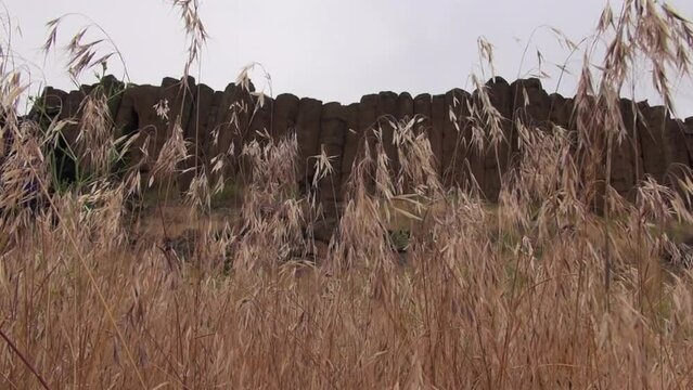 Hiking couple walk through frame of Scabland grass and basalt columns