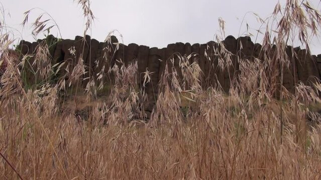Ginger male hiker walks past low angle shot of basalt rock columns