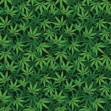Seamless vector pattern of hand drawn marijuana leaves