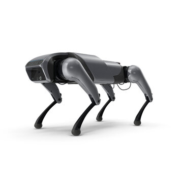 Smart robot dog assistant