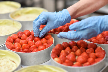 production of strawberry cake on the conveyor belt of a large bakery - woman with gloves decorating...