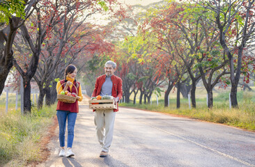 senior man,girl carrying box of harvested fruits walking along the street,a family,father,daughter harvest produce from their farm in fall season,concept of harvesting people in autumn,harvest season