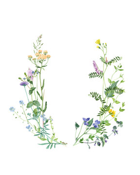 Hand painted watercolor frame with meadow herbs and flowers. Floral background with free place for your text. Botanical painting in vintage style