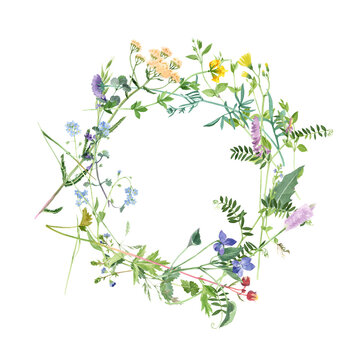 Hand painted watercolor frame with meadow herbs and flowers. Floral background with free place for your text. Botanical painting in vintage style. PNG with transparent background