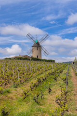 Windmill (Moulin a vent de Romaneche-Thorins), Chenas, Beaujolais, Saone-et-Loire, Bourgogne-Franche-Comte, France