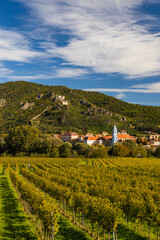 Fototapeta na wymiar Wachau valley near Durnstein, UNESCO site, landscape with vineyards, Austria