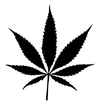 Marihuana Hanf Cannabis Blatt Symbol Vektor Freigestellt