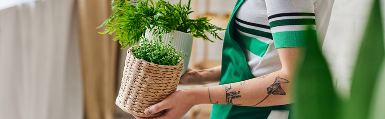 indoor gardening, partial view of young and tattooed woman in apron holding flowerpots with green decorative plants in modern apartment, sustainable home decor and green living concept, banner