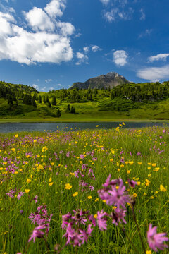 Landscapes near Kalbelesee, Hochtann Mountain Pass, Warth, Vorarlberg, Austria