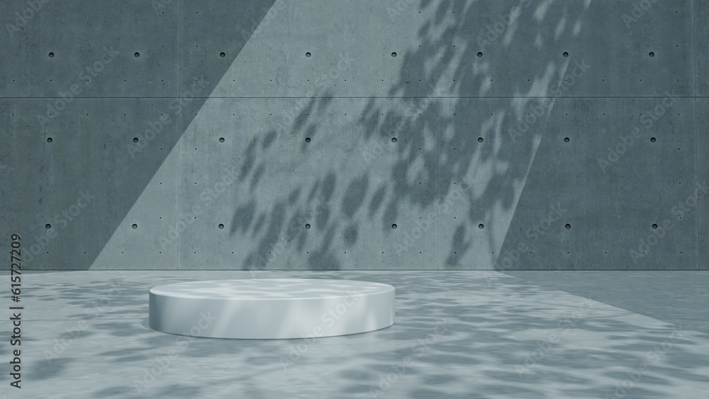 Poster artistic shadow from the window. 3d empty pedestal. presentation commercial product, mockup scene. 3