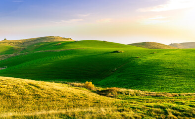 Obraz premium countryside green field during sunrise of sunset in warm light. beautiful spring landscape in the mountains. grassy field and hills. rural scenery