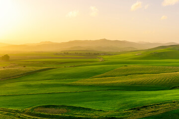 beautiful green valley with green fields with green spring grass with nive hills and mountains and...