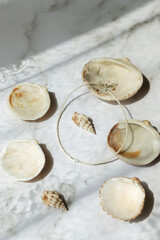 decorative stand with necklace and shells
