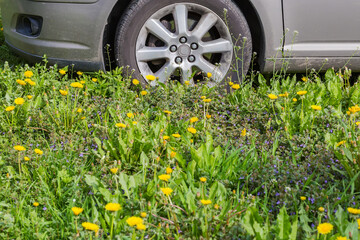 Fragment of car side with front wheel on a meadow