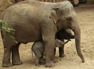 A gallery of nature&rsquo;s finest: adorable, fierce, and fascinating animals from around the globe.