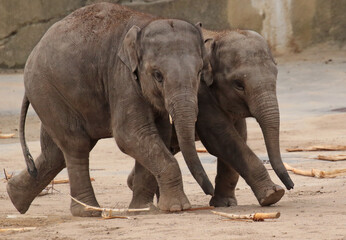 A gallery of nature&rsquo;s finest: adorable, fierce, and fascinating animals from around the globe.